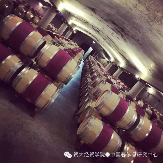 【游学终】因为学习从来不会沧桑，所以我们还是年轻的模样