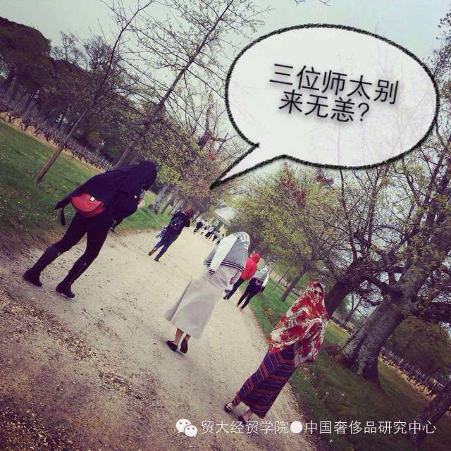 【访学】你好波尔多，再见巴黎