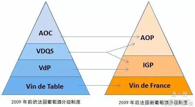品鉴课堂|波尔多葡萄酒，如何品鉴出产区？怎么判断等级、品质？