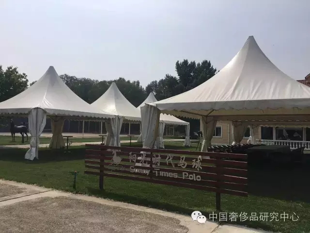 【马球课】这有一群俊男美女策马奔腾，人数40+