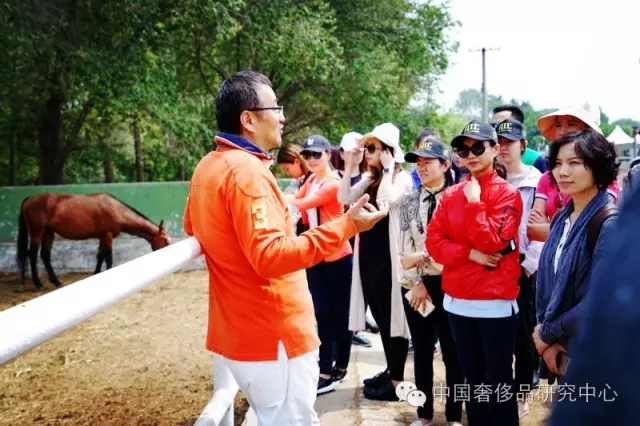 【马球课】这有一群俊男美女策马奔腾，人数40+