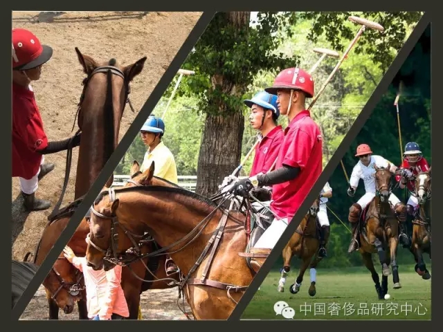 【马球课】这有一群俊男美女策马奔腾，人数40+