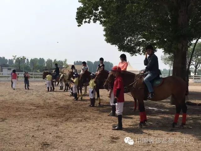 【马球课】这有一群俊男美女策马奔腾，人数40+