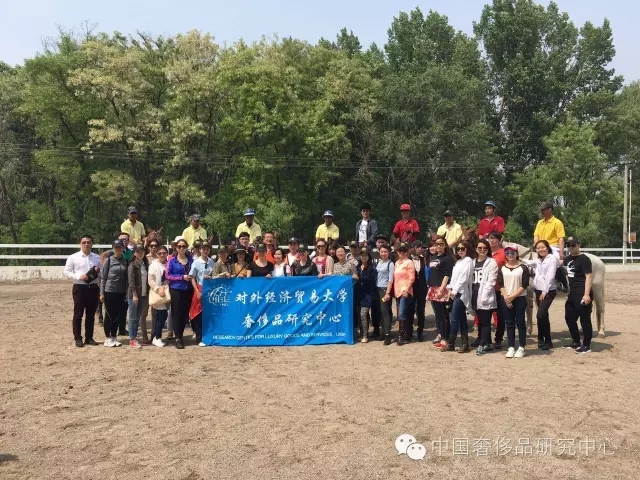 【马球课】这有一群俊男美女策马奔腾，人数40+