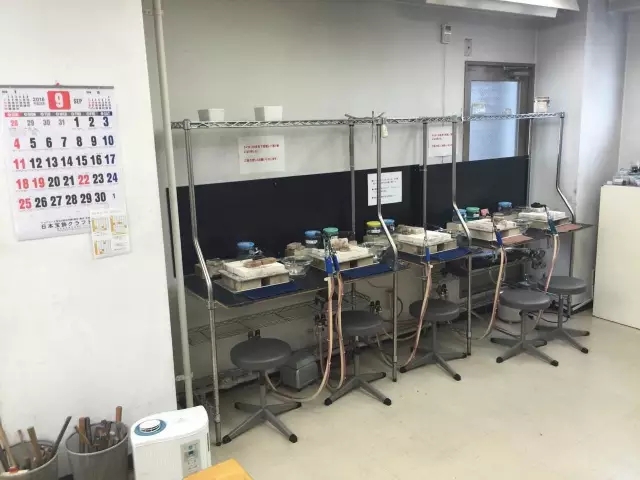 【日本访学】珠宝界葵花宝典诞生地：日本宝饰学院